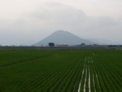 The northeastern area of Shiga is filled with large, flat areas filled with rice paddies...