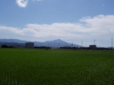 Mt. Ibuki far in the distance.   It's 5 times as high as Yamamoto-yama and lies on the border between Shiga and Gifu prefectures