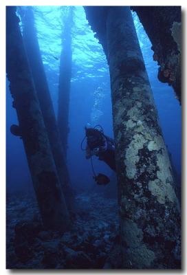 Underwater Bonaire