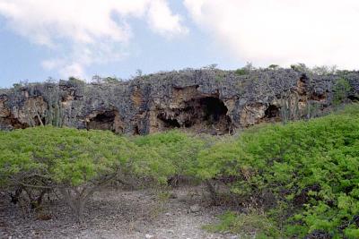Caves at Ole Blue