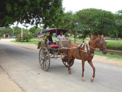 Horse Carriage Ride, Bagan