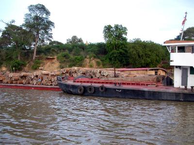 Teak transport on the Ayeyarwaddy