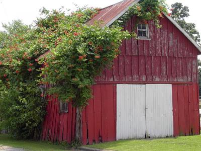 town-barn-2.jpg