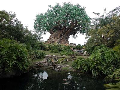 Disney - Animal Kingdom Gallery