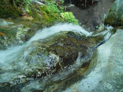 pfeiffer falls