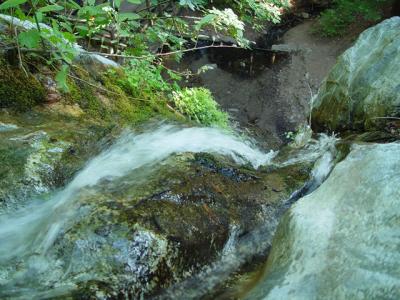 u47/zensimple/medium/30572314.pfeifferfalls002.jpg
