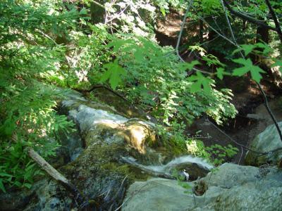 u47/zensimple/medium/30572315.pfeifferfalls003.jpg