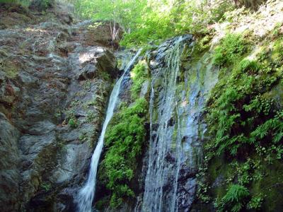 u47/zensimple/medium/30572317.pfeifferfalls005.jpg
