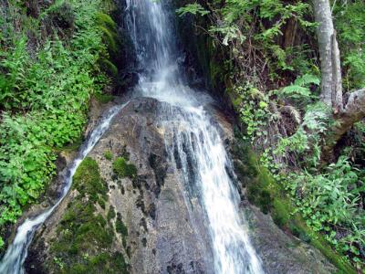 u47/zensimple/medium/30572318.pfeifferfalls006.jpg