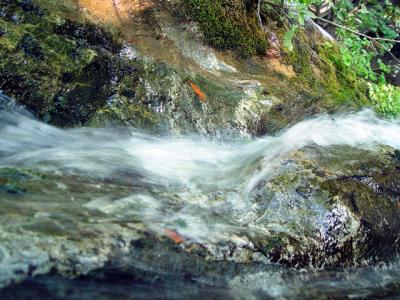 u47/zensimple/medium/30572319.pfeifferfalls007.jpg