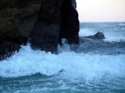 u47/zensimple/medium/30572326.pfeifferstatebeach002.jpg