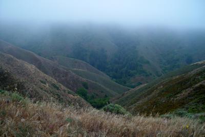 A Walk in the Clouds