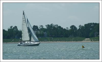 DSCF5253.jpg