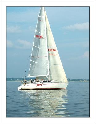 Spring Series Race 5 winner -Zot