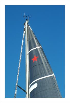 heiniken_star.jpg