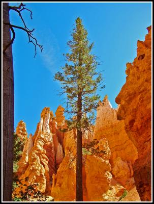 Bryce Canyon