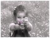 Flowers for you...