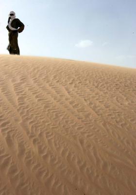 Sahara Sand Dunes