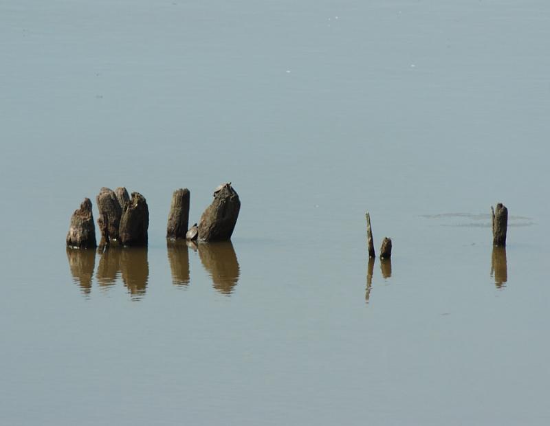 DSC_5499 copy.jpg