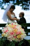 Wedding of Angie and Richard