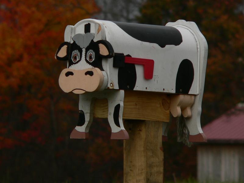anudder cow