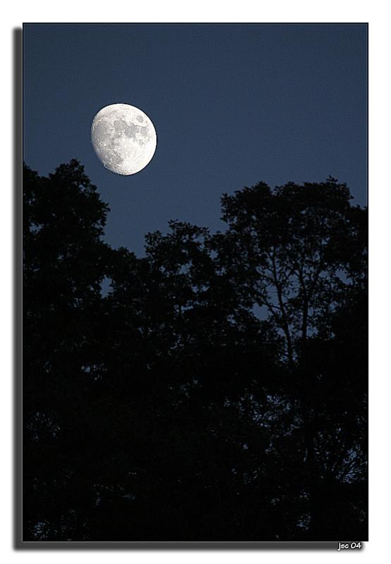 Fall Moon