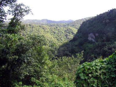 St Lucia Landscape