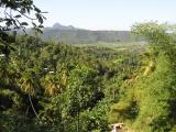 St Lucia Landscape