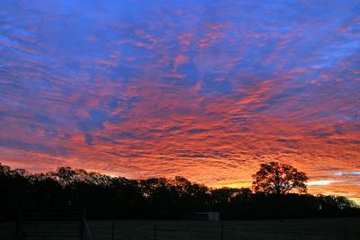 Sunrise 1.jpg
