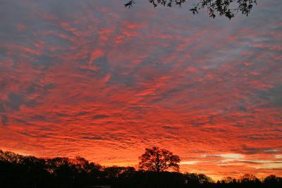 Sunrise 2.jpg
