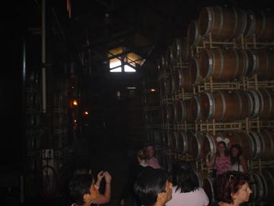 wine run 008.jpg