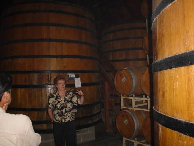 wine run 009.jpg