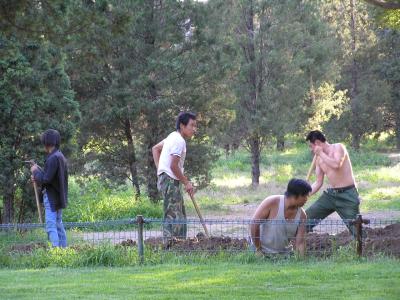 Landscaping construction in the park