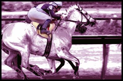 Horse Race
