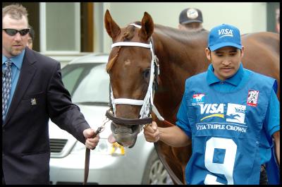Smarty Jones Leaves the Barn 2