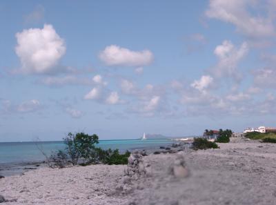 View north from a southern divesite