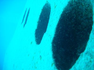 Portholes of the wreck