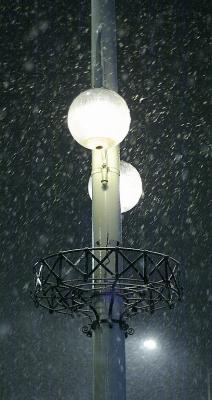 Street Light with flower basket (flowers are removed in the fall)