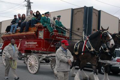 Krewe of Bacchus Parade Line Up