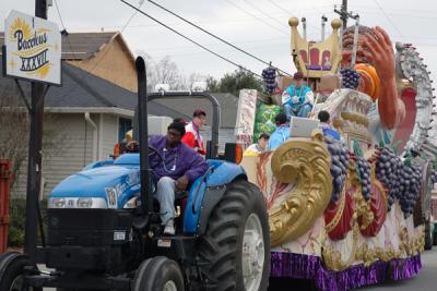 Krewe of Bacchus Parade Line Up