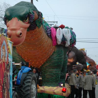 Krewe of Bacchus Parade Line Up