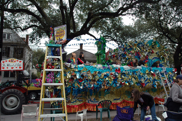 Krewe of Mid-City - Line up on Napoleon