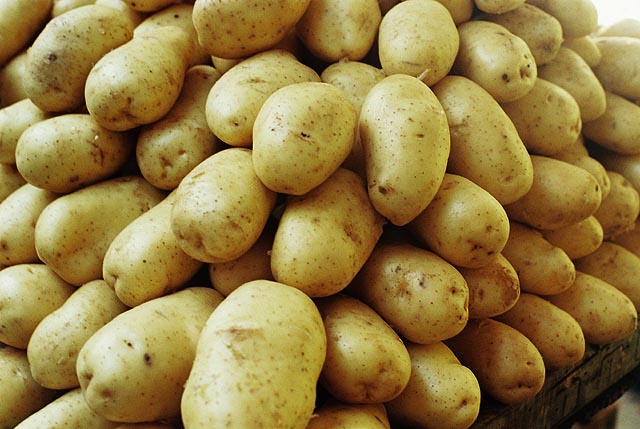 Batata