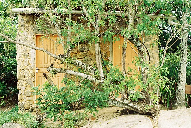 Casa por trs da rvore