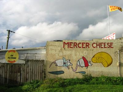 Mercer cheese