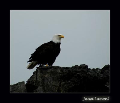Nootka Sound
