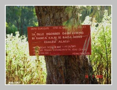 Local Languange telling no deforestation