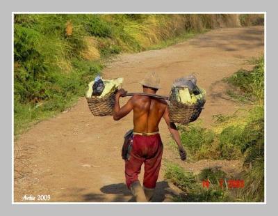 Miner carry 85 kg