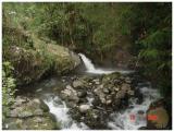 Natural Hot Water from Slamet Mountain