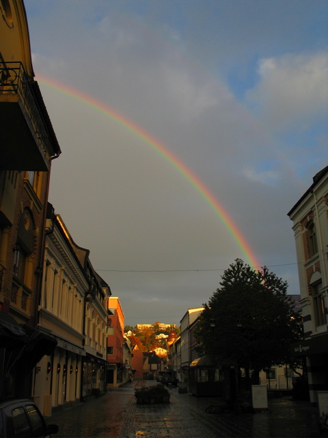 IMG_1772.jpg